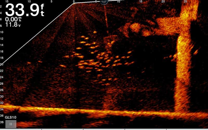 Forward-Facing Sonar: Revolutionizing Bass Fishing and the Best Baits to Use